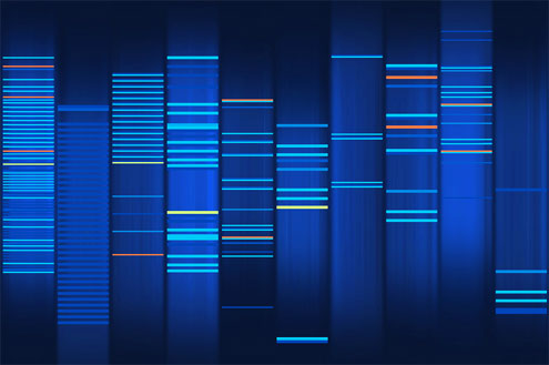 DNA des Blogs